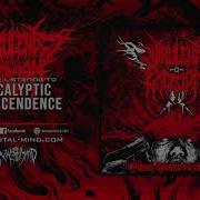 Virulent Excision Apocalyptic Transcendence
