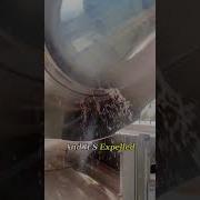 Why Rain Actually Makes Jet Engines STRONGER Knowled Aviation DidYouKnow