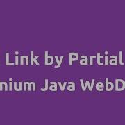 Click Link By Partial Text Using Selenium Java