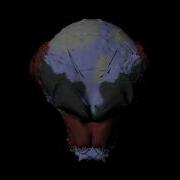 Botic BlendShape Animation Test 1