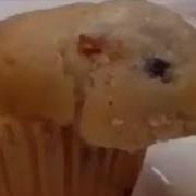 Hamster Muffin Earrape