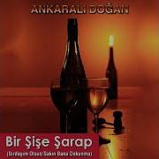 Ankaralı Doğan Bir şişe şarap