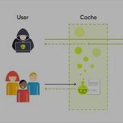 Web Cache Poisoning Via URL Normalization Lab 11