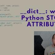 Dict место где Python хранит атрибуты