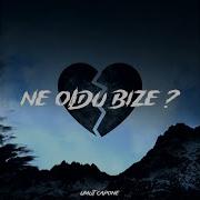 Ne Oldu Bize