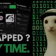Я провел обратную разработку Spotify чтобы создать приложение Spotify Wrapped