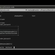The Mole Exploiting A SQL Injection