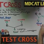 Test Cross NMDCAT 2021