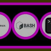 ZSH Npm Node Nvm Command Not Found After Installing OhMyZSH