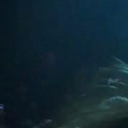 Devildriver Live Pray For Villains Abaton Prague 8 11 2009