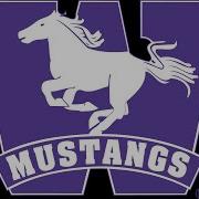 Go Mustangs Shadowplay Dump 3