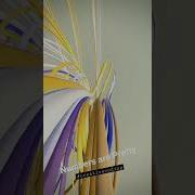 Generative Art Process