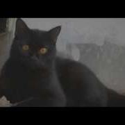 720p HD Video Test