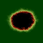 Wildfire Simulation With No Wind