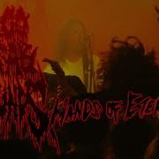 200 Stab Wounds Hands Of Eternity Official Video
