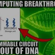 First Ever Programmable DNA Circuit Is A Breakthrough In Biocomputing