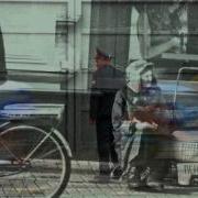 Venus Beautiful Days