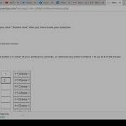 Casting A Preference Vote Option 2