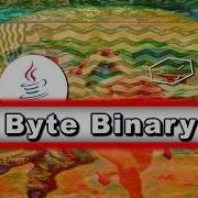 Print Byte Binary In Java