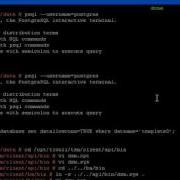 Rdp4Postgres Client Setup 1