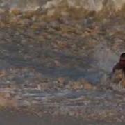 Swimmer Caught In The Undertow Current At 2011 At Cabo San Lucas
