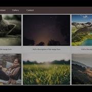 Website Layout With Image Gallery Using HTML And CSS
