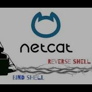Reverse Shell With Netcat And Scripts Kali Linux