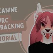 Fem Canine VRChat Facetracking Tutorial