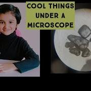 Microscope For Kids Fun Science