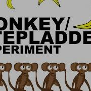 THE MONKEY STEPLADDER EXPERIMENT