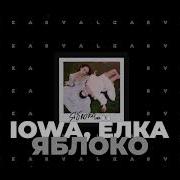 IOWA Ёлка Яблоко