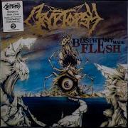 09 Mutant Christ Cryptopsy HQ 320k