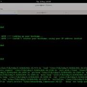 Python Network Scanner TCP Port Flood