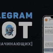 Курс Telegram Bot на Python 2 Базовые команды Aiogram 3 X