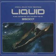 35007 Liquid 2002 CD 03 Evaporate Netherlands Progressive Rock Psychedelic Space Rock