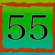 55 Sec Timer