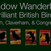 Window Wanderland 2023 Yatton Claverham Congresbury