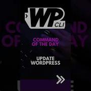 WP CLI Update WordPress Using WP CLI WordPress WPCLI