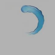 QuickTime Sample Logo 6 HD Widescreen