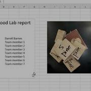 Initial Builder S Walkthrough Excel Density Data Lab Report