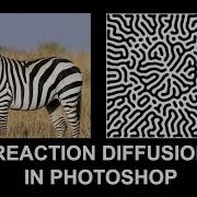 Reaction Diffusion In Photoshop