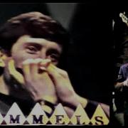 The Beau Brummels 1965 Live Laugh Laugh Edited To Full Length From 3 Shows Stereo Mixed