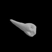 Accurate Tooth Segmentation In 3D Slicer Preserve Occlusal Detail With Enamel Root Workflow