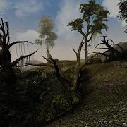 Morrowind Seyda Neen Immersive Walk 2020 1440p OpenMW Normal Maps Vtastek Shaders