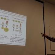 Scientific Workshop Big Data Analytics 2017 10 31