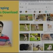 Web Scraping Google Images Download In Bulk Using Python