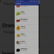 How To Create Listview With Image Icons In Android App Android Development