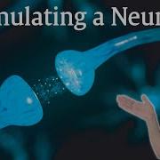 Simulating A Neuron With Simulink