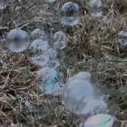 Frozen Bubbles 2
