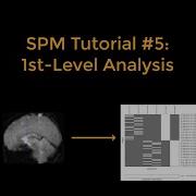 SPM Tutorial 5 1st Level Analysis